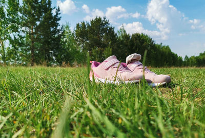 Pink sneakers stand on the green grass in the open. doing sports on the street.