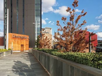 Footpath amidst trees and buildings against sky