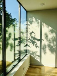 Reflection of trees on glass window at home