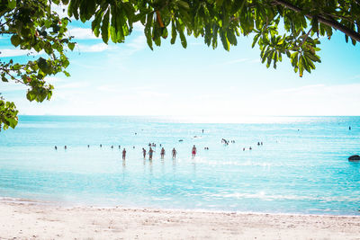 Group of people on beach