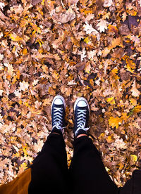 Low section of person standing on autumn leaves