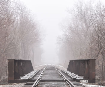 Railroad tracks amidst bare trees during winter