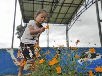 Full length of girl holding flowering plant