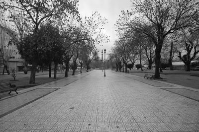 Traditional alameda public park in a sonth american small town, talca, chile, calle 4 norte