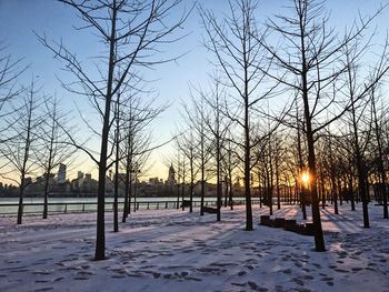 Snow covered trees against sky during sunset