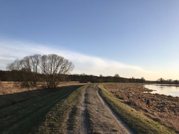 Dirt road amidst bare trees on field against sky