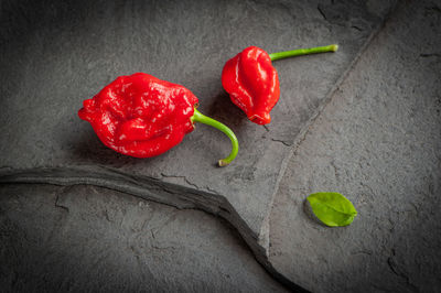 High angle view of red chili peppers on stone plate