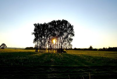 Scenic view of grassy field against sky at sunset