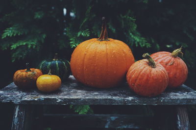 Close-up of wet pumpkins on table