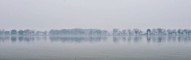 Reflection of trees in water