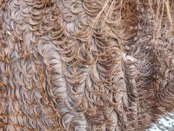Detail shot of curtain