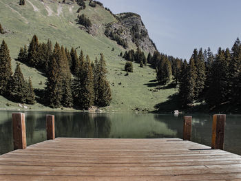 Scenic view of lake by trees against sky