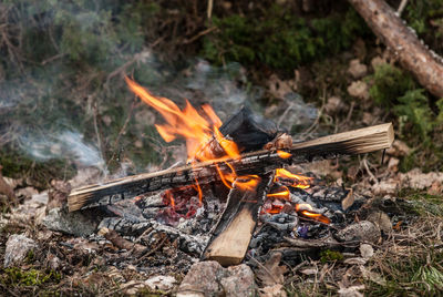 Bonfire on wooden log