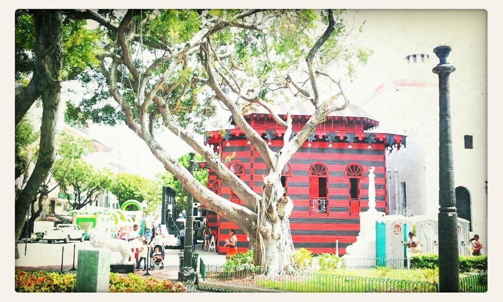 transfer print, building exterior, architecture, tree, built structure, auto post production filter, graffiti, bare tree, day, house, outdoors, tree trunk, sky, wall - building feature, branch, no people, residential structure, fence, street, gate