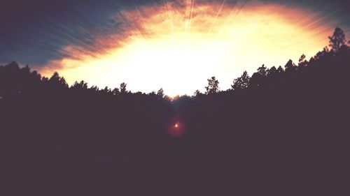 Low angle view of silhouette trees against sky during sunset