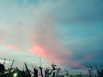 Low angle view of silhouette trees against sky