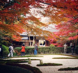 People by trees during autumn