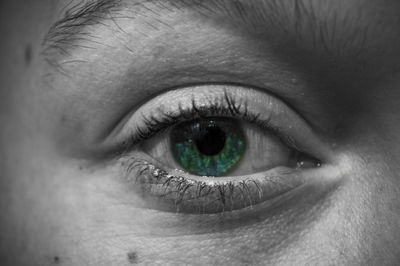 Extreme close up of human eye