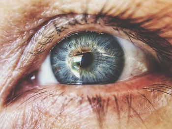 Extreme close-up of human eye