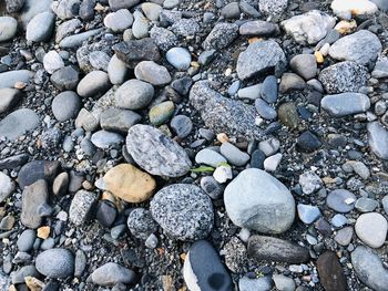 High angle view of stones
