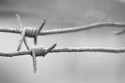 Close-up of barbed wire