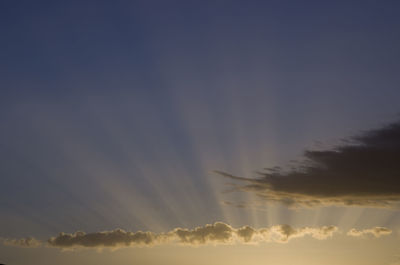 Scenic view of trees against sky during sunset