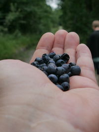 Close-up of hand holding fruit
