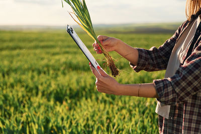 agriculture