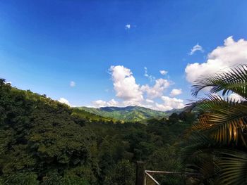 Plants growing on landscape against sky