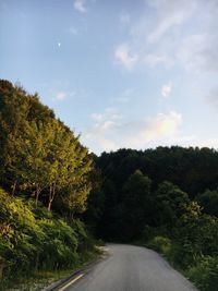 Road amidst trees and plants against sky