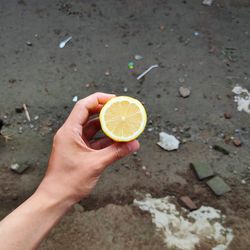 Cropped image of person holding apple