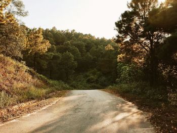 Road amidst trees in forest against sky