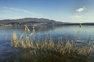 Scenic view of lake against sky