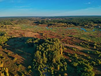 High angle view of trees on landscape against sky