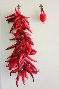 Red chili peppers against white background