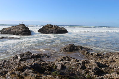 Rocks on beach against clear sky