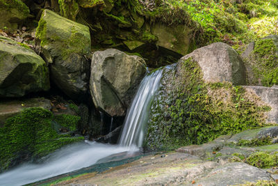 Scenic view of waterfall in forest