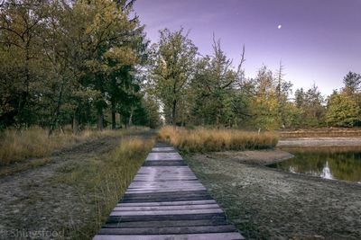 Footpath amidst trees on landscape against sky