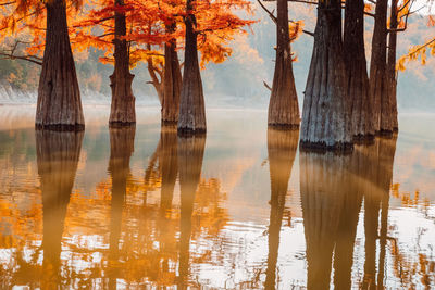 Scenic view of lake