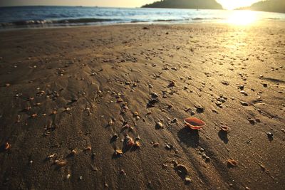 Footprints on sand at beach against sky