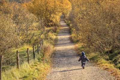 Rear view of boy walking on footpath in field