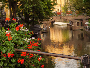 Utrecht in the netherlands