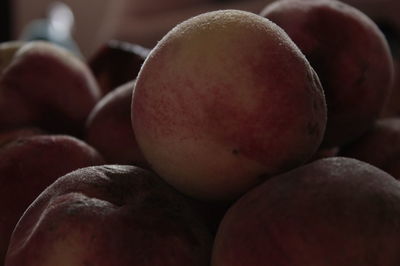 Close-up of fruits