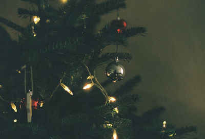Illuminated christmas tree at night