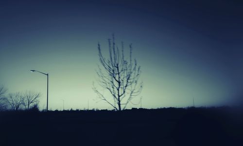 Silhouette of bare tree against clear sky at night