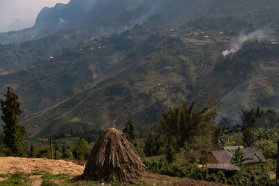 View of trees on landscape against mountain range
