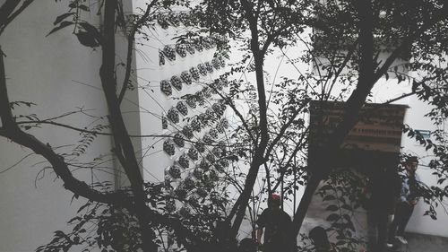 Low angle view of tree against sky