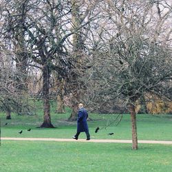 Man walking on grassy field amidst bare trees at park