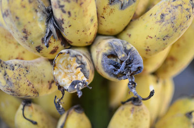 Close-up of fruits for sale at market stall