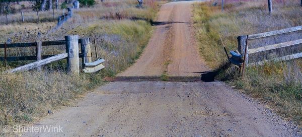 View of dirt road on field